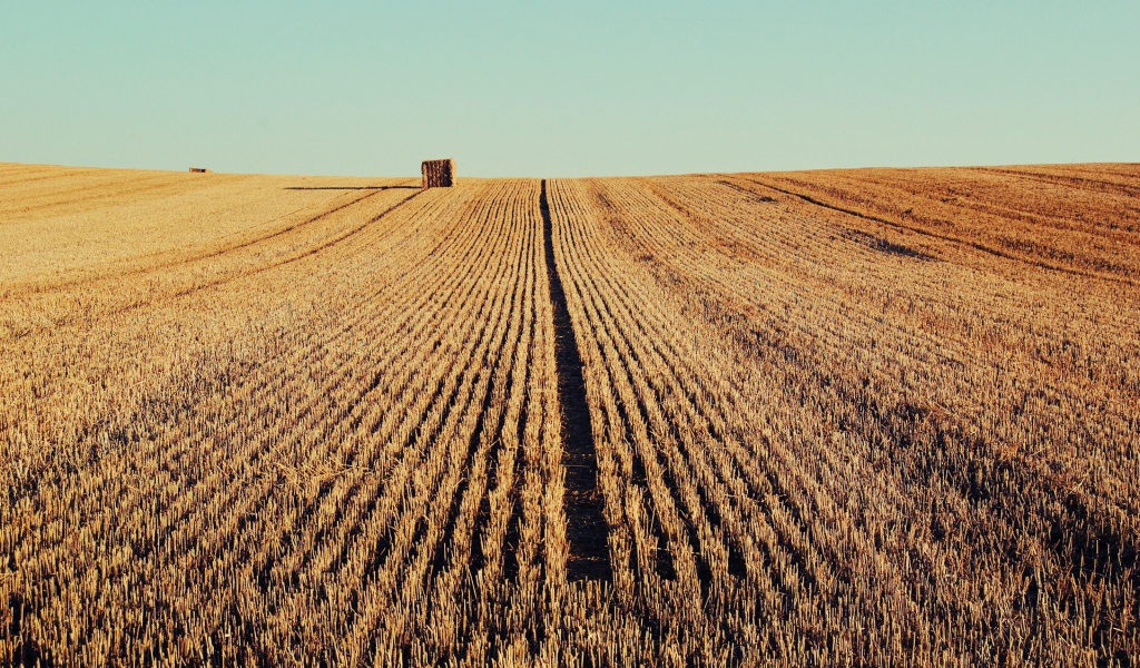 Осень скошенное поле