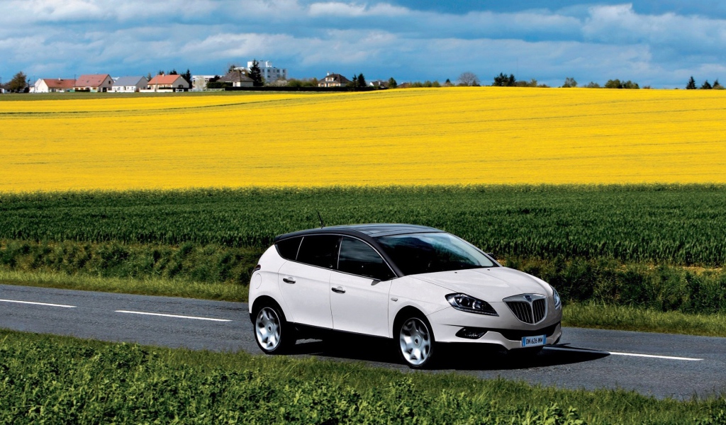 Автомобиль едет среди полей