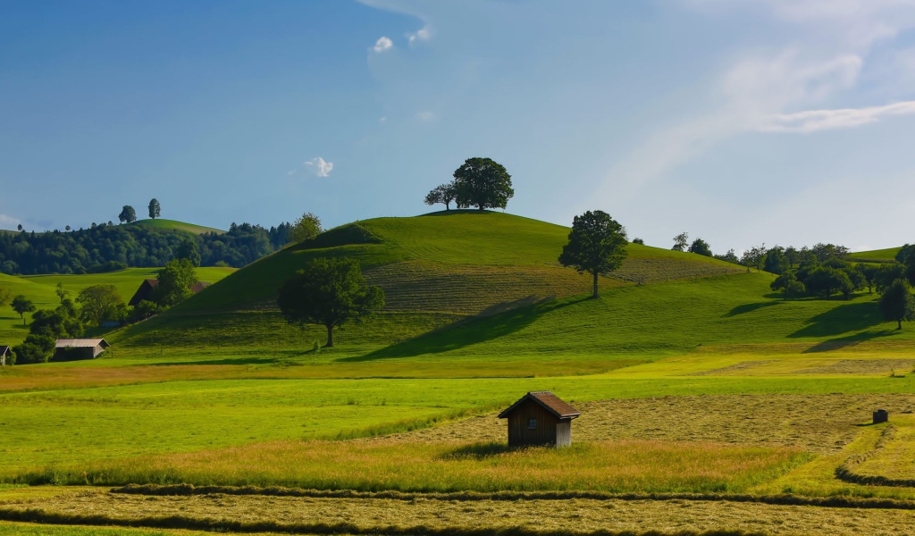 Урожайные поля