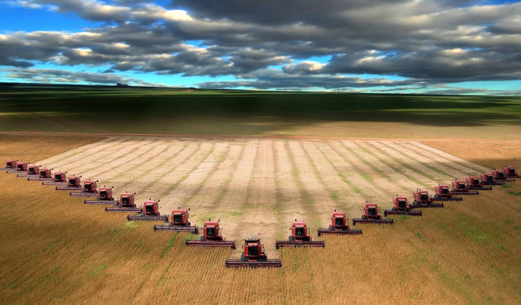 Уборка урожая