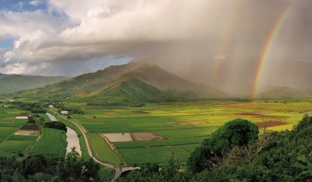 На Гавайях дождь