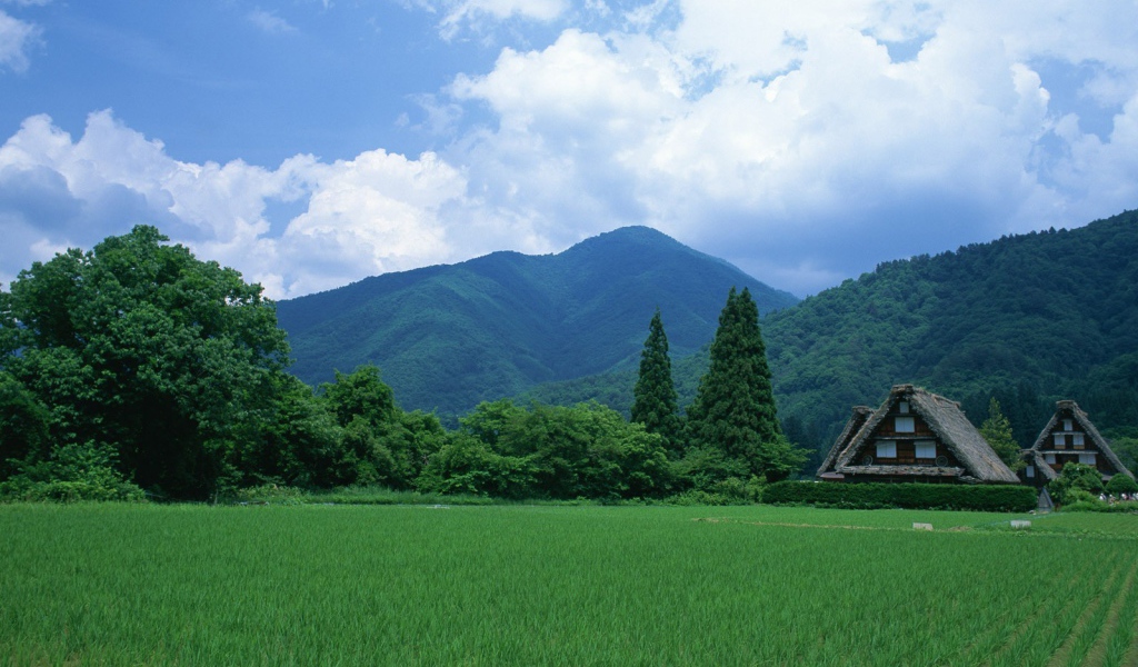 Пейзаж с домами