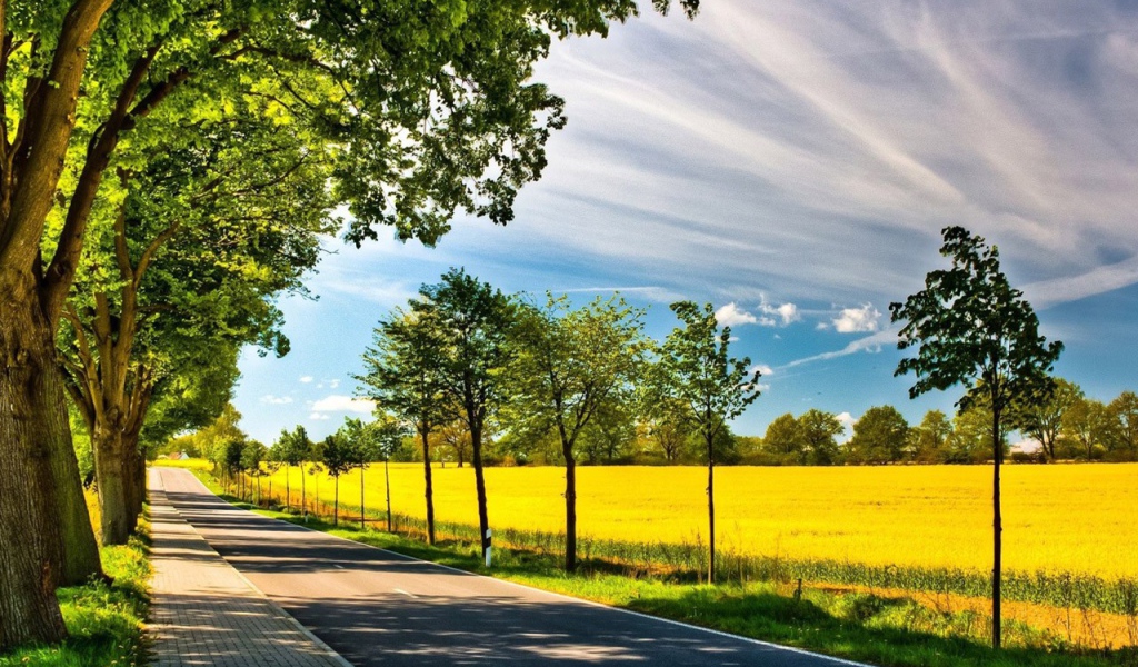 Старые и молодые деревья