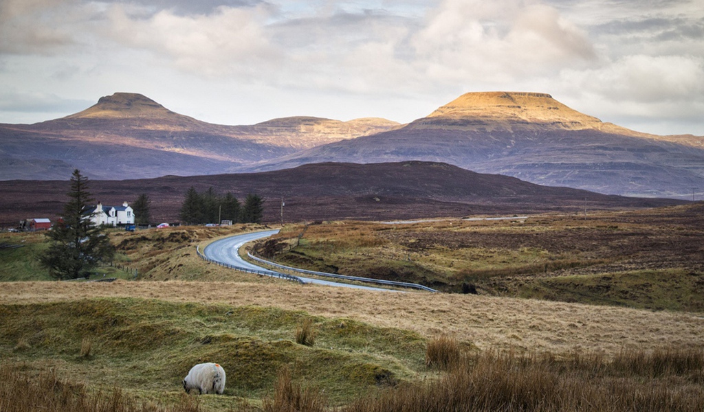 Дорога через поле в горы