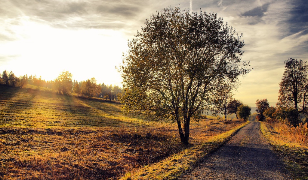 Деревенский пейзаж на закате