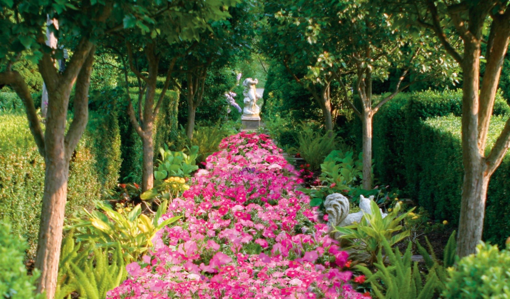 Аллея засаженная цветами