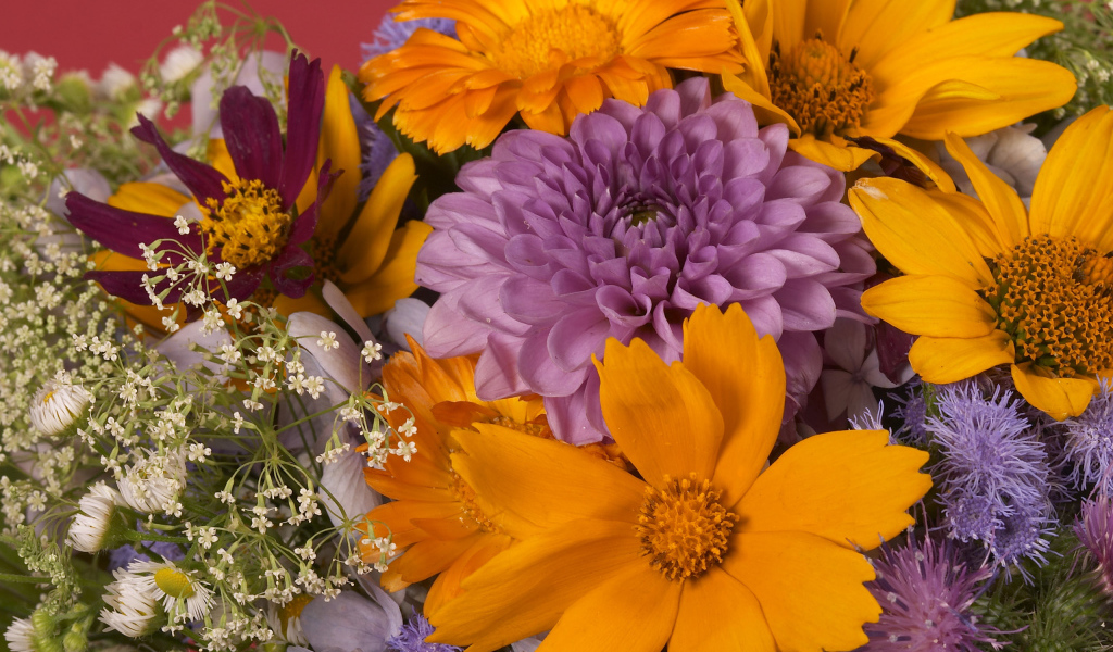 Красочный букет цветов