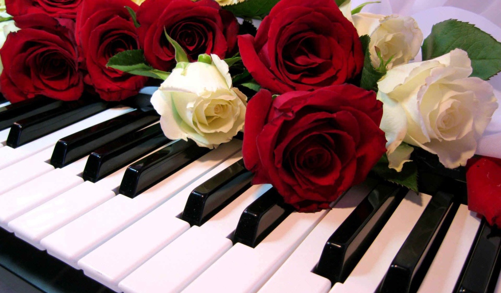 Розы на клавишах рояля