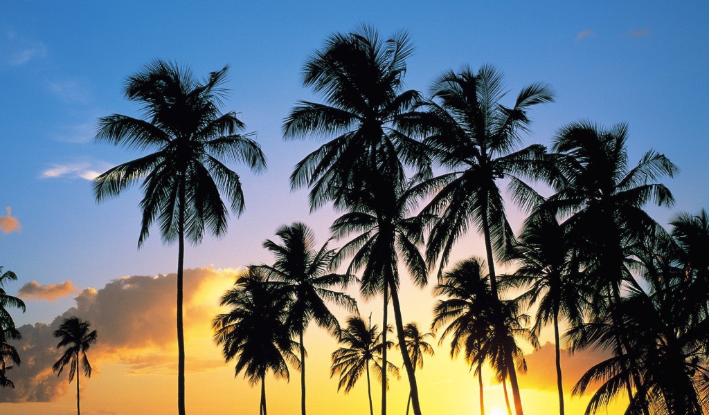 Утро на Карибских островах