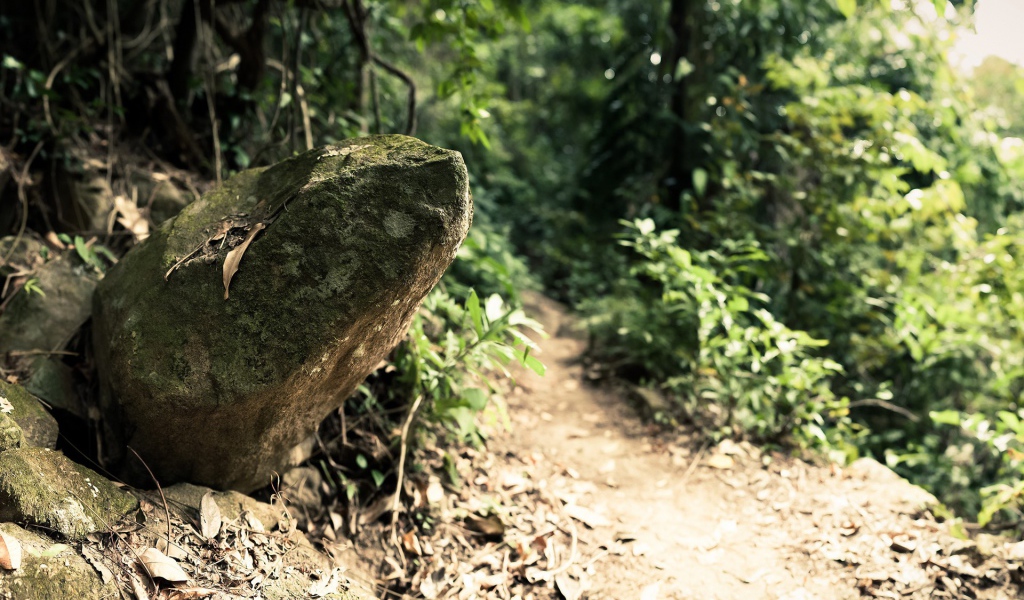 Камень у дороги