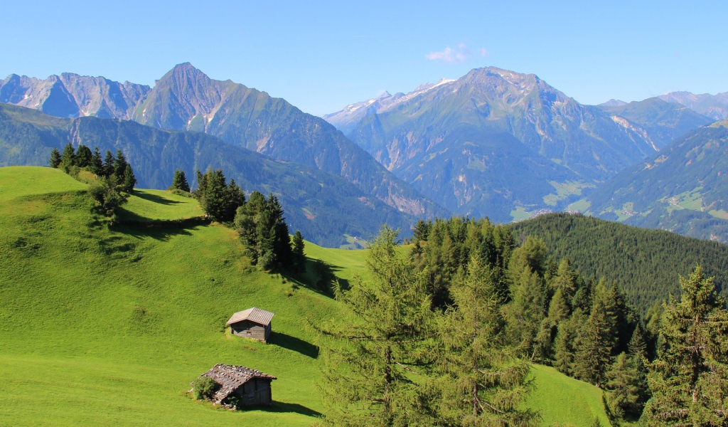 Альпийские луга и голубая даль