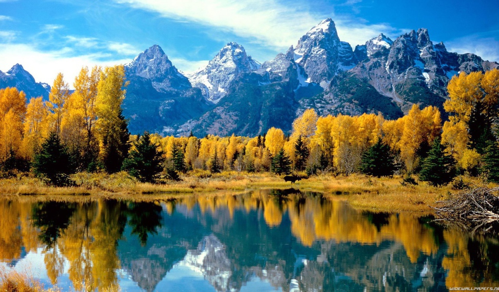 Осень в лесу у подножия гор