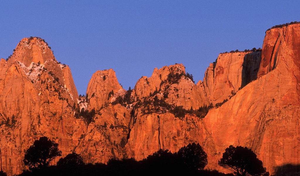 Красивый горный пейзаж с деревьями
