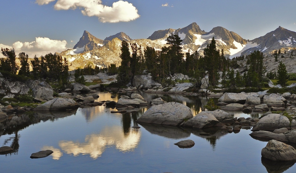 Хвойный Лес в горах