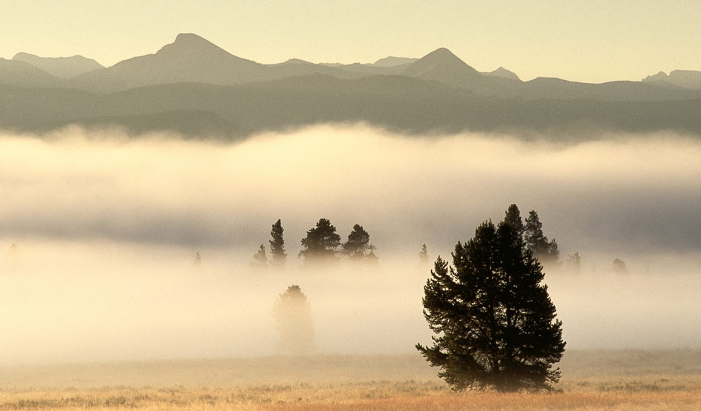 Туман на долине в горах