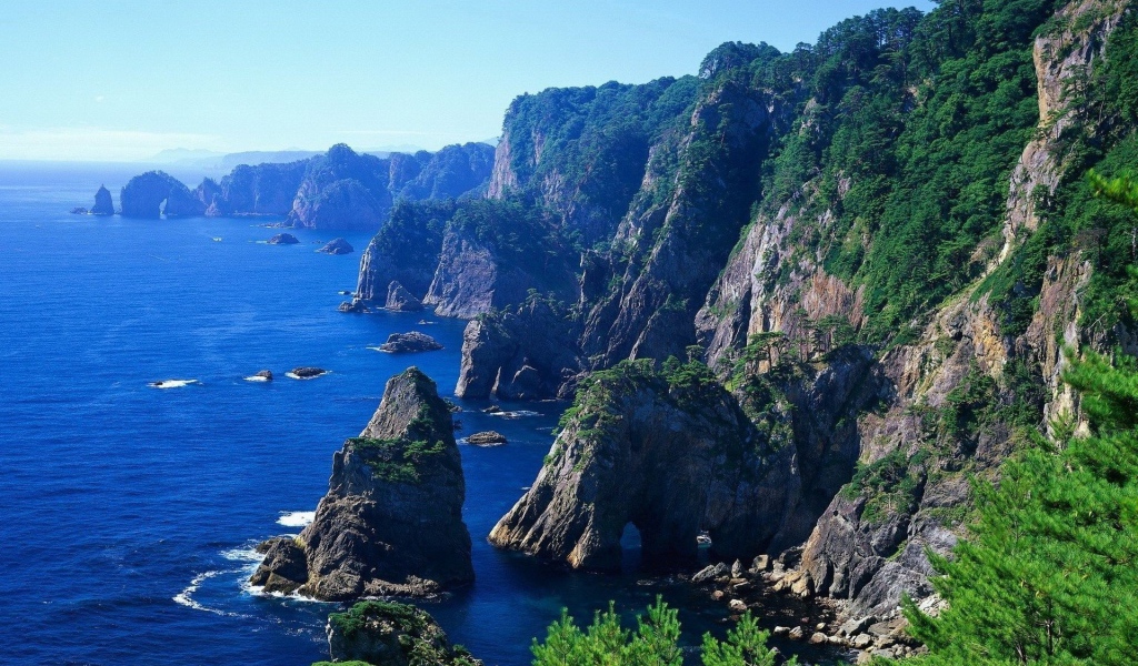 На скалах растет лес