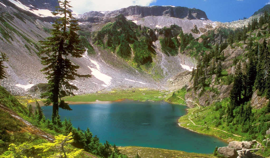 Горный пейзаж с деревом и озером