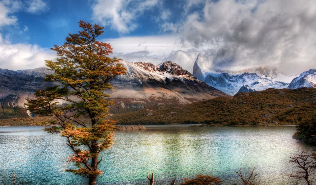 Горный пейзаж с деревом