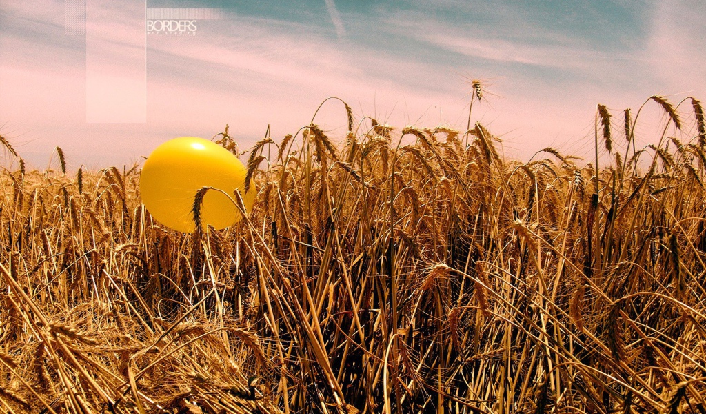 Шарик на пшенице