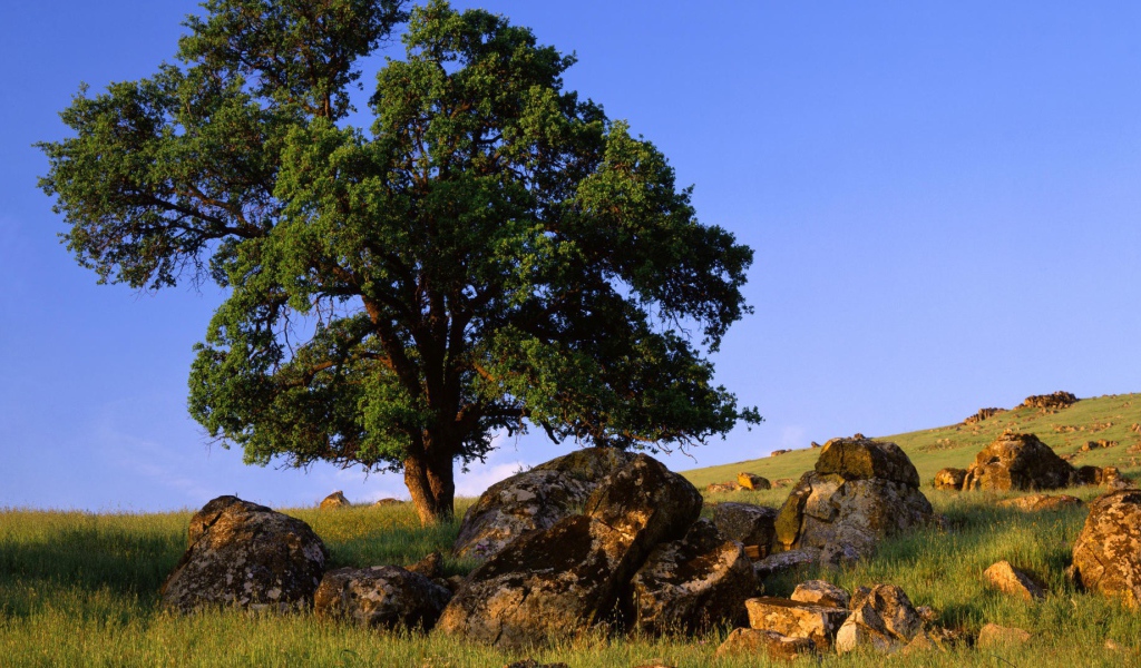 Природа штата Невада