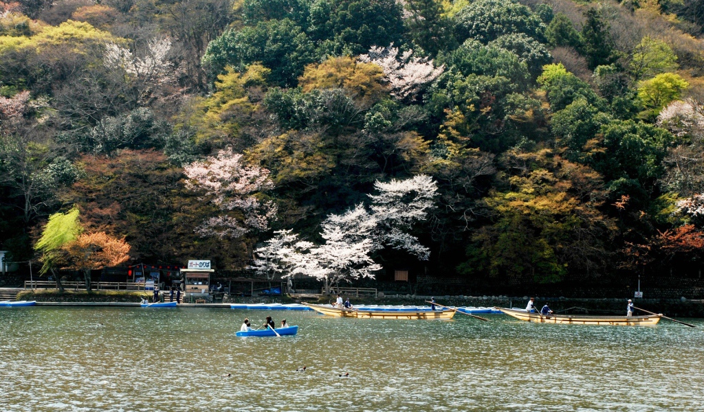 Катание на лодках