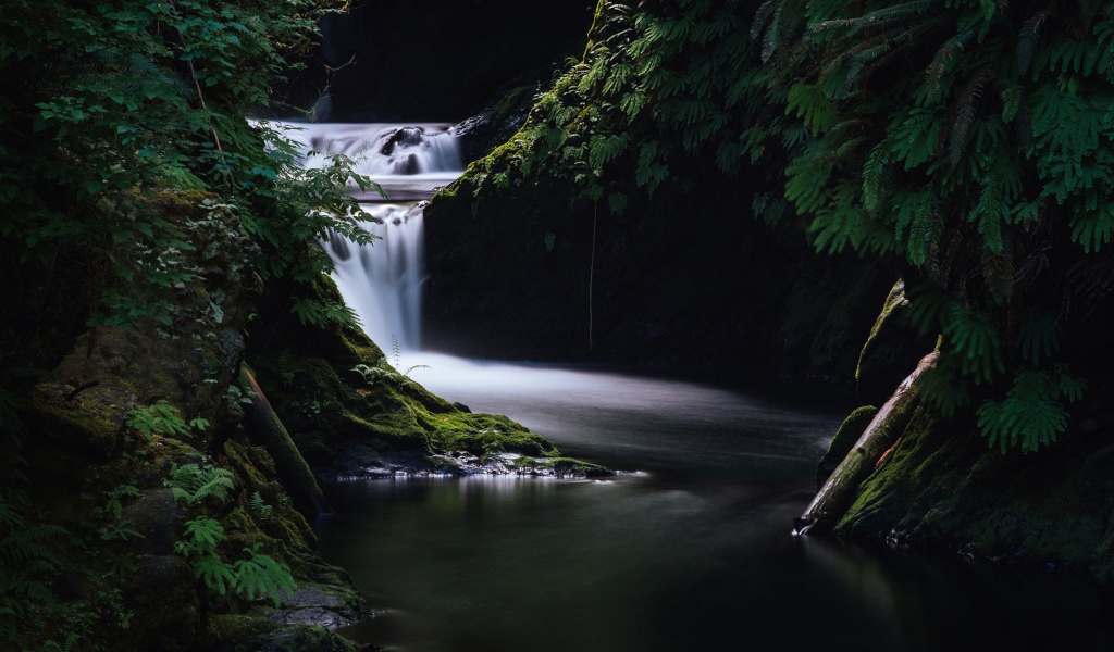 Горная река в ущелье