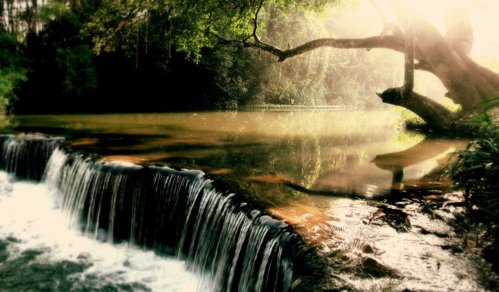 Заросшая река с водопадом