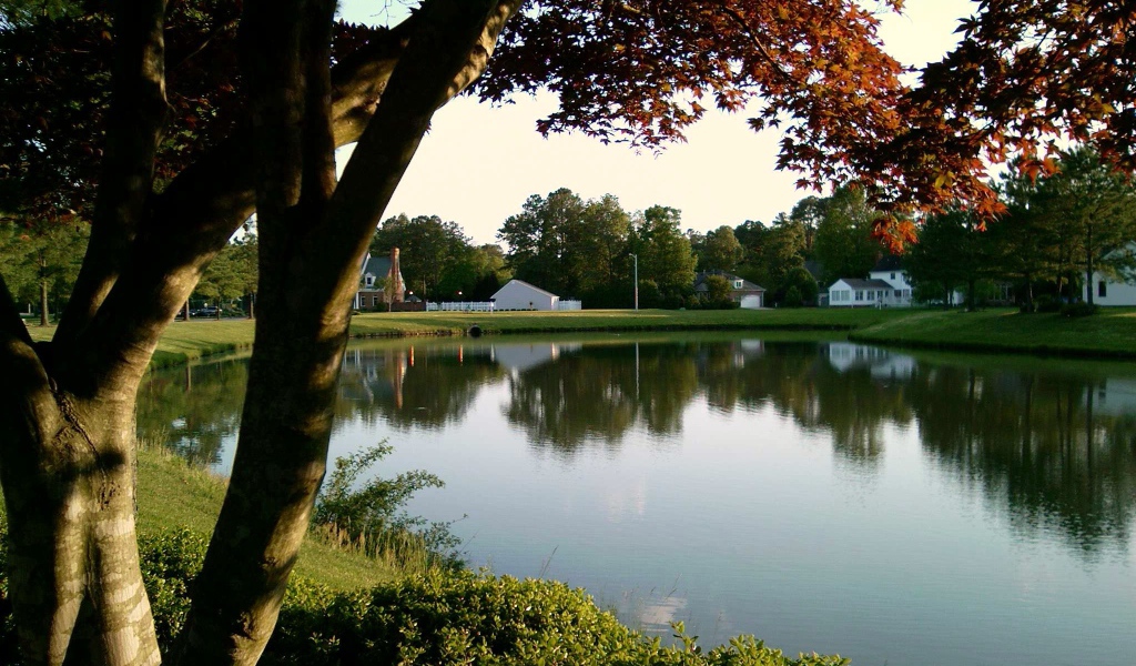 Тихий пруд в Германии