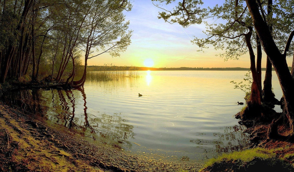 Закат на лесном озере