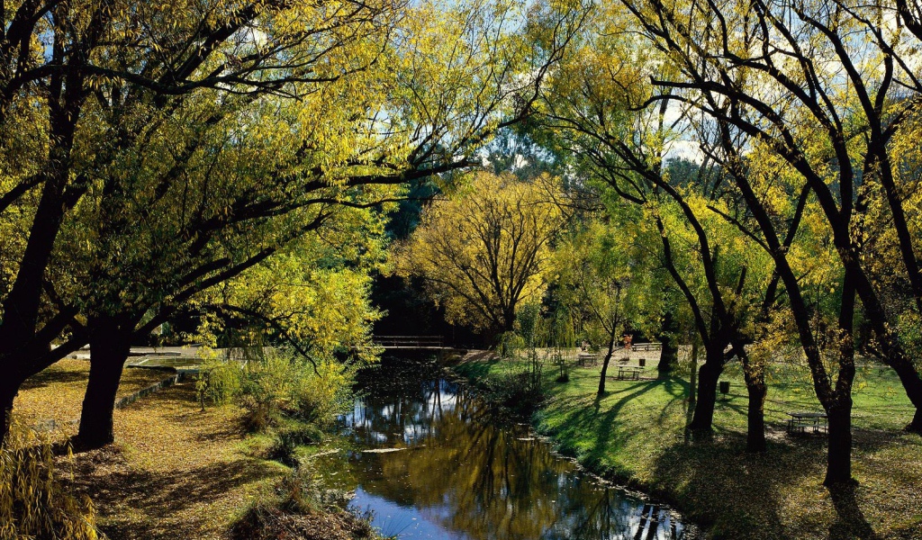 Австралийский пейзаж с рекой
