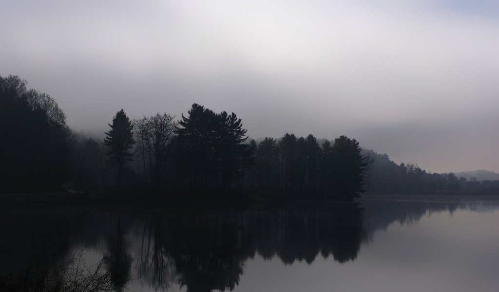 Туманный лес у реки