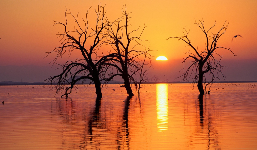 Весеннее половодье в Калифорнии