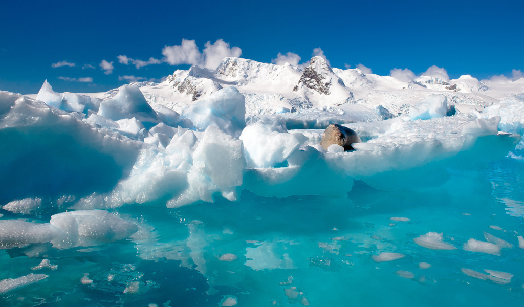 Вода и льды Антарктиды