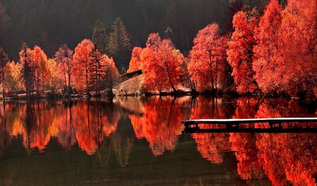 Red autumn pond