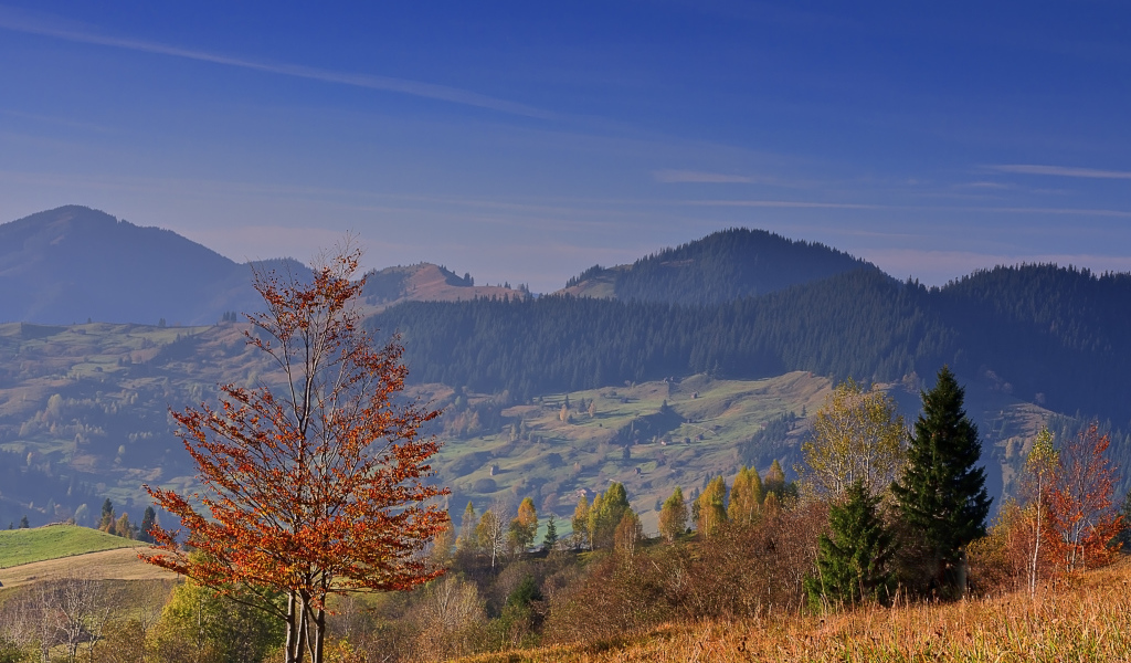 Осенью в Румынии