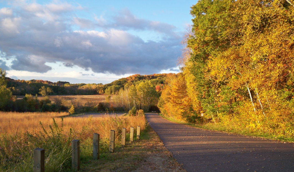 Осенняя дорога в деревню