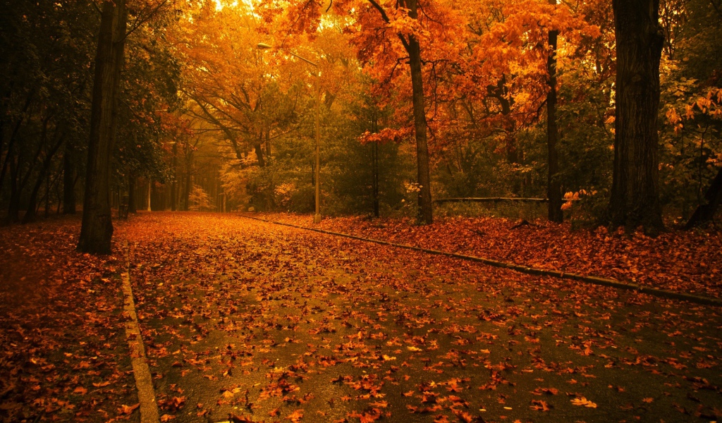 Осенний вечер