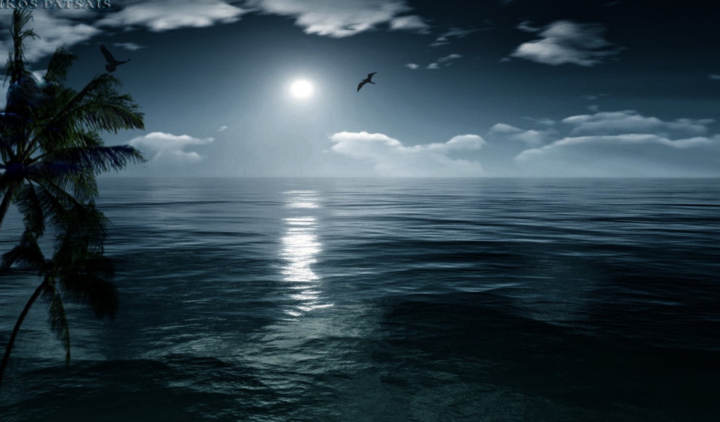 Птица летит на закате