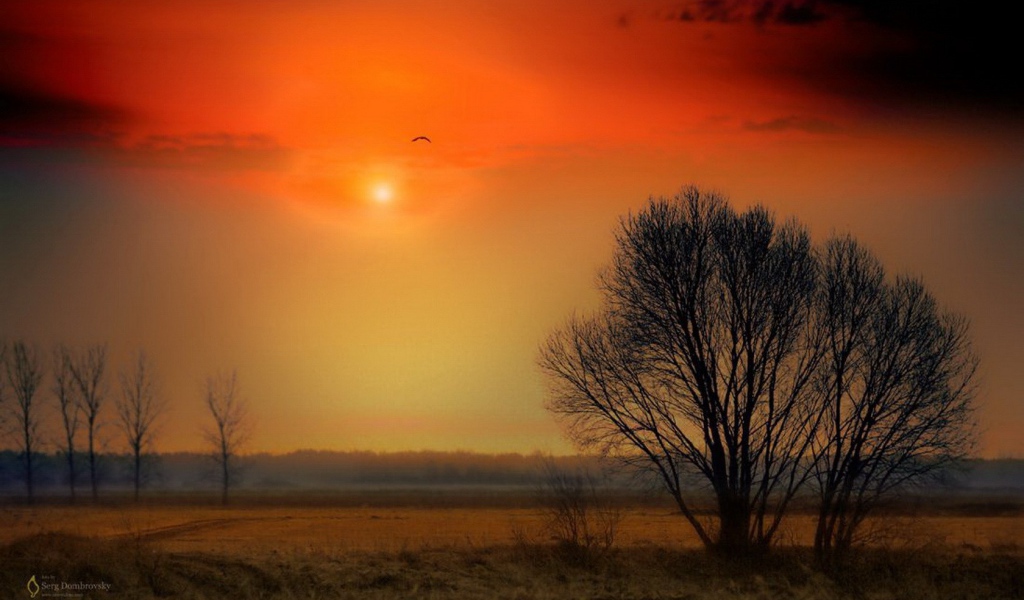 Красочный закат над полем