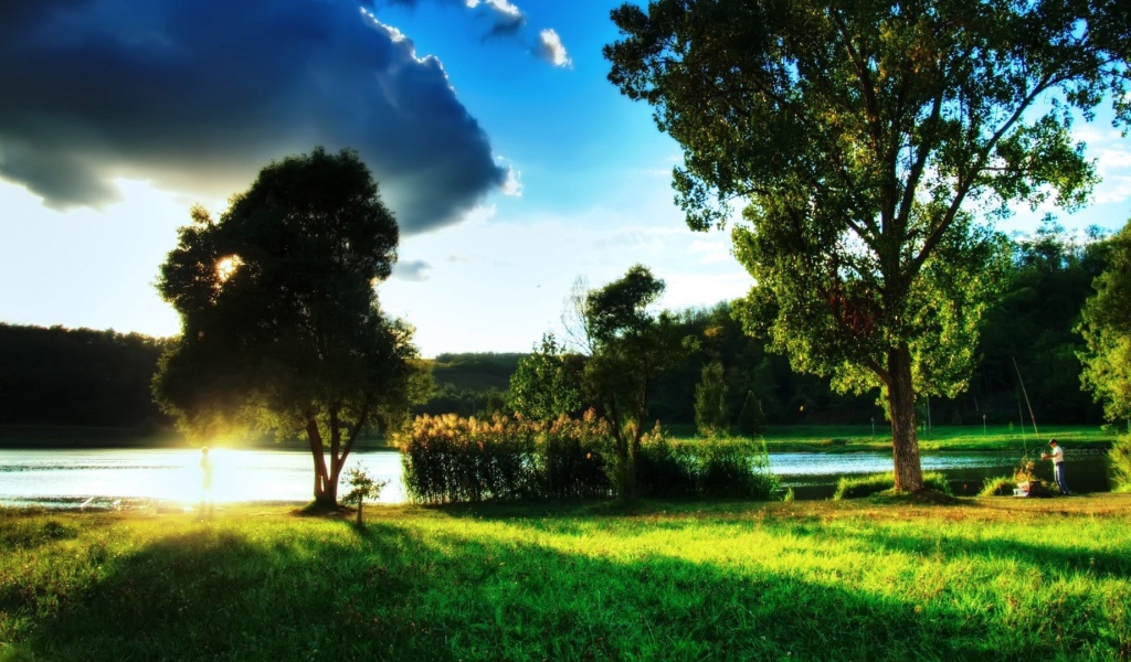 Закат за деревом