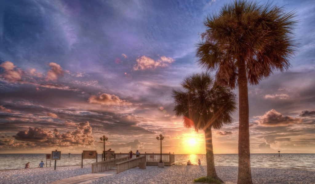 Закат на пляже с пальмами