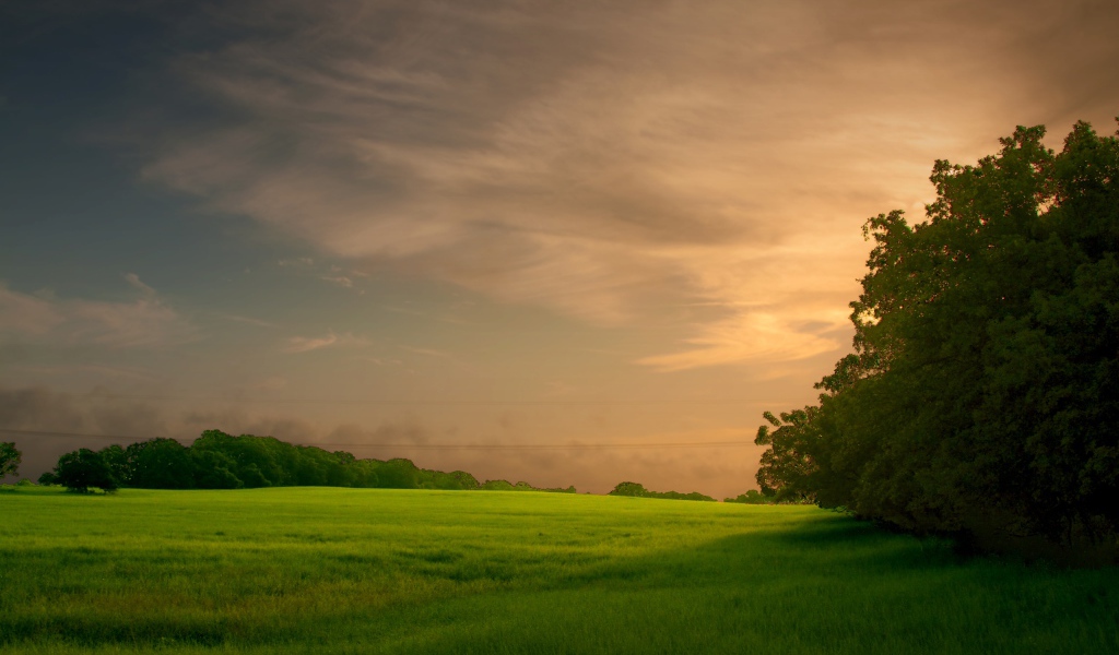 Закат на зеленом поле