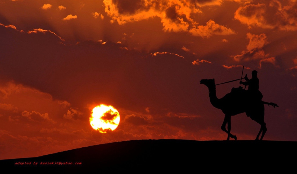 Наездник на верблюде