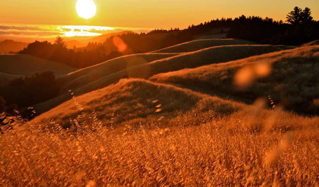 Закат в Калифорнии