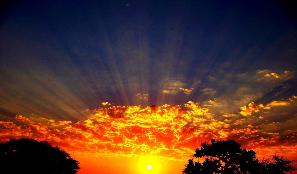 Лучи солнца