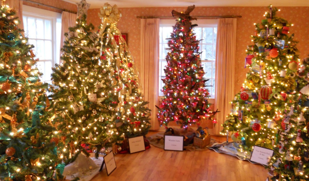 Много новогодних елок