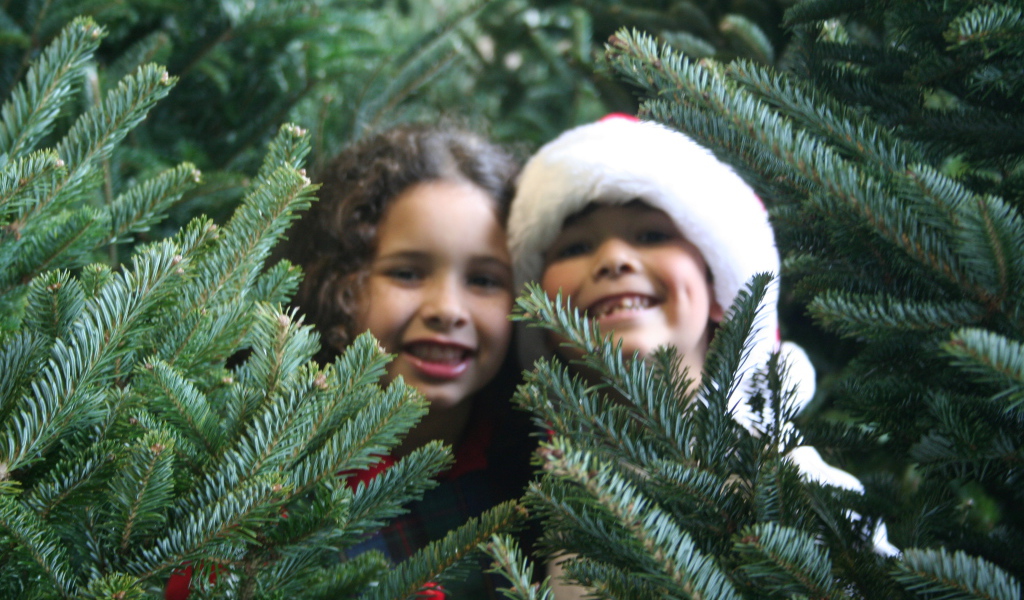 Дети у новогодней елки 2014