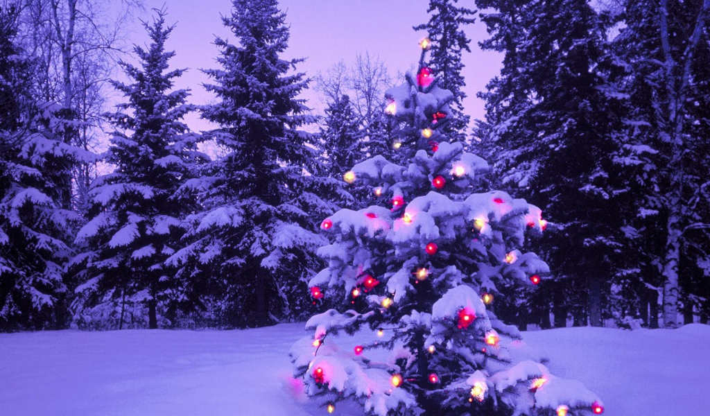 Елка на Новый Год в полнолуние