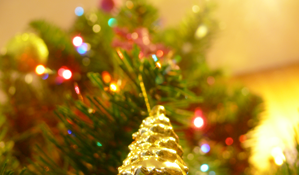 Новогодняя елка в ярких огнях