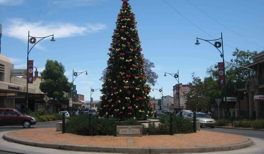 Новогодняя елка в Америке